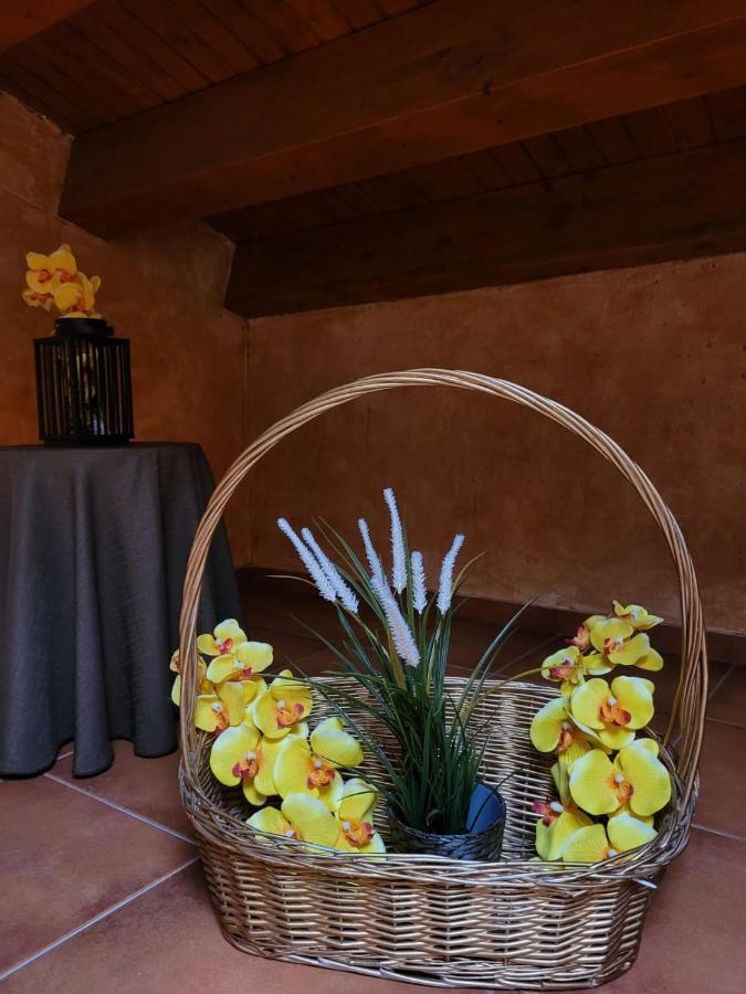 El Atico De Mijares Guest House Exterior photo